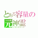 とある容量の元神霊（ノヴァスフィア）