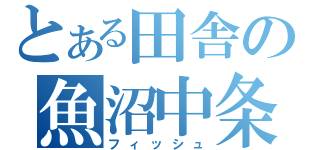 とある田舎の魚沼中条（フィッシュ）