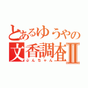 とあるゆうやの文香調査Ⅱ（ぶんちゃん）