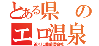 とある県のエロ温泉（近くに葡萄酒会社）