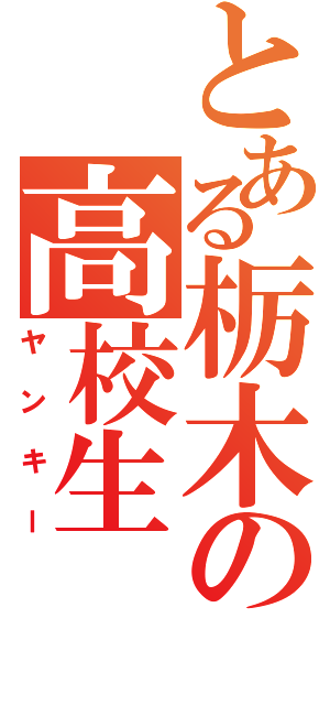 とある栃木の高校生（ヤンキー）