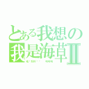 とある我想の我是海草Ⅱ（或愤怒的烧饼  哈哈哈）