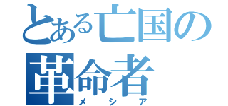 とある亡国の革命者（メシア）