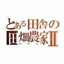 とある田舎の田畑農家Ⅱ（ババァ）