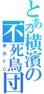 とある横濱の不死鳥団（横浜ＦＣ）