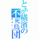 とある横濱の不死鳥団（横浜ＦＣ）