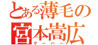 とある薄毛の宮本嵩広（ゲーハー）