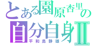 とある園原杏里の自分自身Ⅱ（平和島静雄）