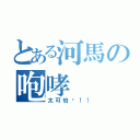 とある河馬の咆哮（太可怕啦！！）