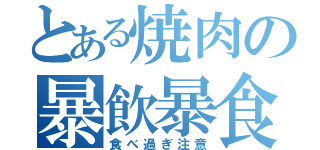 とある焼肉の暴飲暴食（食べ過ぎ注意）