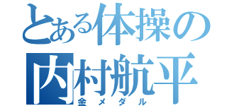 とある体操の内村航平（金メダル）