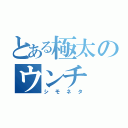 とある極太のウンチ（シモネタ）