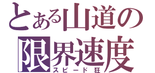 とある山道の限界速度（スピード狂）