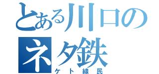 とある川口のネタ鉄（ケト線民）