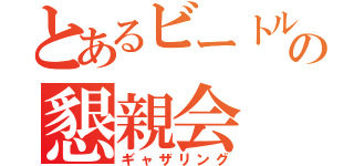 とあるビートルの懇親会（ギャザリング）