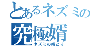 とあるネズミの究極婿（ネズミの婿とり）