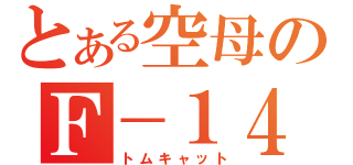 とある空母のＦ－１４（トムキャット）