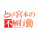 とある宮本の不解行動（ミステリーアクション）