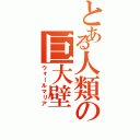 とある人類の巨大壁（ウォールマリア）