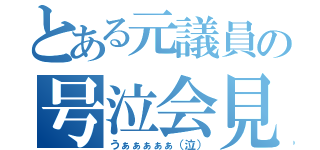 とある元議員の号泣会見（うぁぁぁぁぁ（泣））