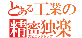 とある工業の精密独楽（スピニングトップ）