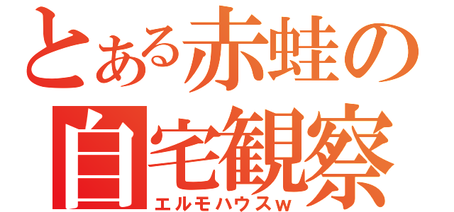 とある赤蛙の自宅観察（エルモハウスｗ）