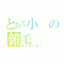 とある小の雜毛（仲の良い友人）