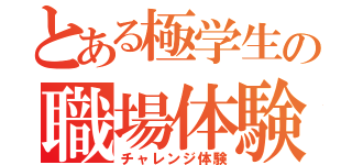 とある極学生の職場体験（チャレンジ体験）