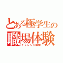 とある極学生の職場体験（チャレンジ体験）