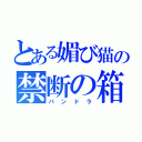 とある媚び猫の禁断の箱（パンドラ）