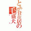 とある貸住居の毛盛犬（トム）