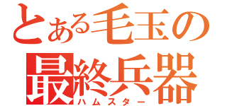 とある毛玉の最終兵器（ハムスター）