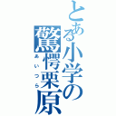 とある小学の驚愕栗原（あいつら）