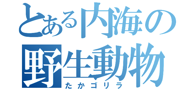 とある内海の野生動物（たかゴリラ）