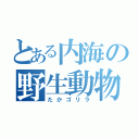 とある内海の野生動物（たかゴリラ）