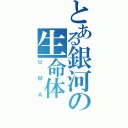 とある銀河の生命体Ⅱ（ＵＭＡ）