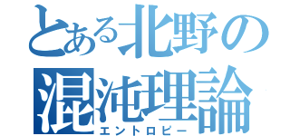 とある北野の混沌理論（エントロピー）