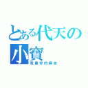 とある代天の小寶（我最好的麻吉）