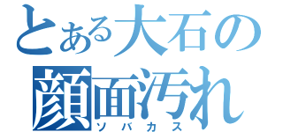 とある大石の顔面汚れ（ソバカス）