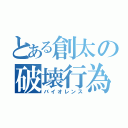 とある創太の破壊行為（バイオレンス）