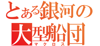 とある銀河の大型船団（マクロス）