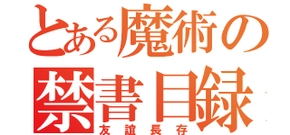 とある魔術の禁書目録（友誼長存）