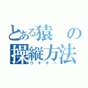 とある猿の操縦方法（ウキキー）