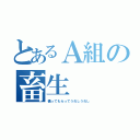 とあるＡ組の畜生（構ってもらってうれしうれし）