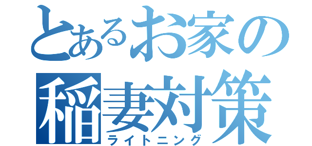 とあるお家の稲妻対策（ライトニング）