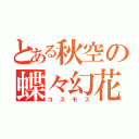 とある秋空の蝶々幻花（コスモス）