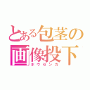 とある包茎の画像投下（ホウセンカ）