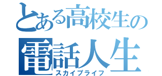 とある高校生の電話人生（スカイプライフ）