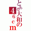 とある大和の４６ｃｍ主砲（）