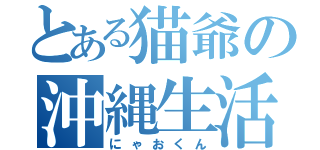 とある猫爺の沖縄生活（にゃおくん）